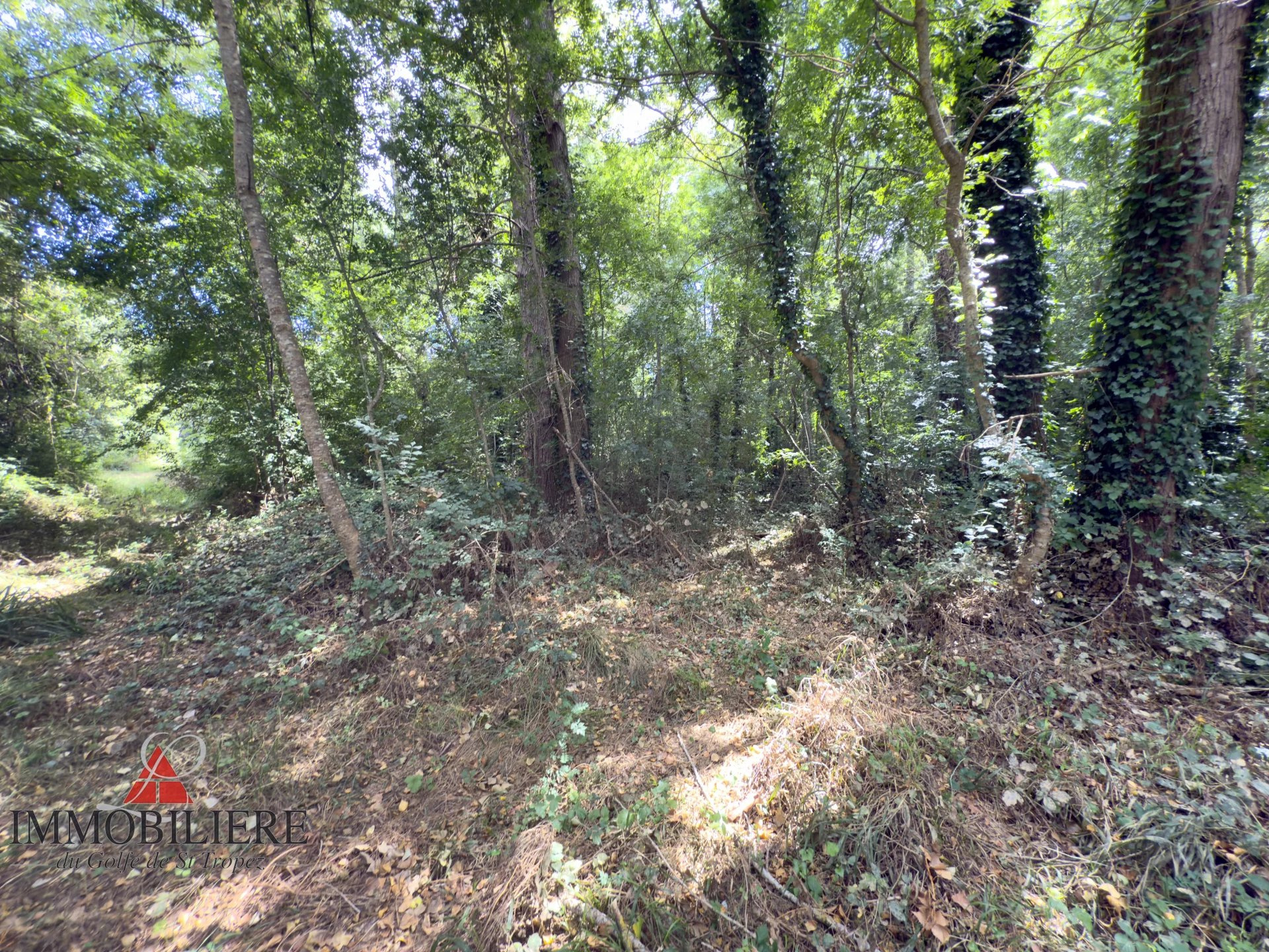 Terrain à vendre à Cogolin, 1 970 m² – photo 3 sur 5